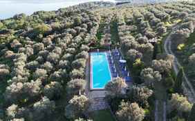 Eingebettet in Olivenhainen